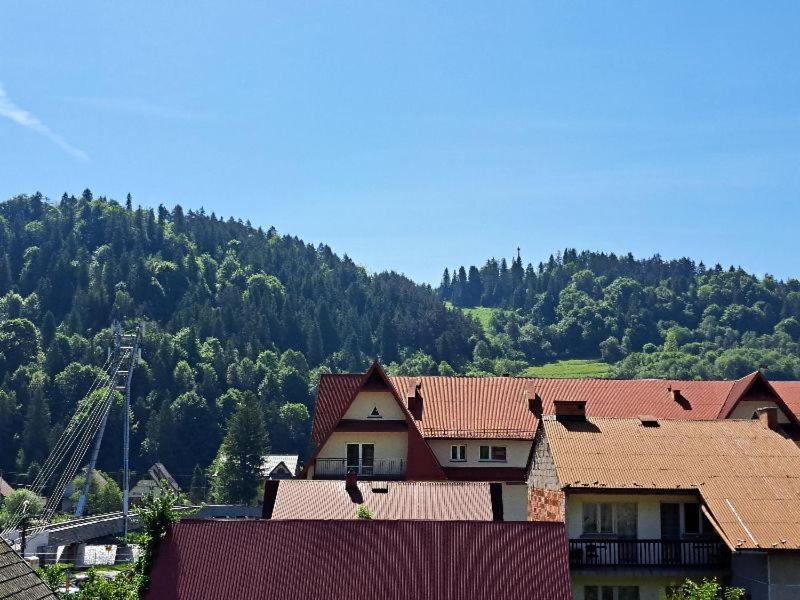 Willa Sawina Sromowce Nizne Exterior photo